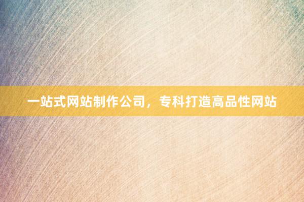 一站式网站制作公司，专科打造高品性网站