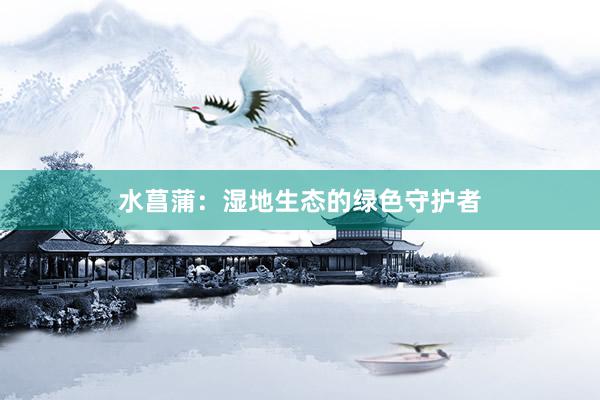 水菖蒲：湿地生态的绿色守护者