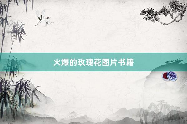 火爆的玫瑰花图片书籍